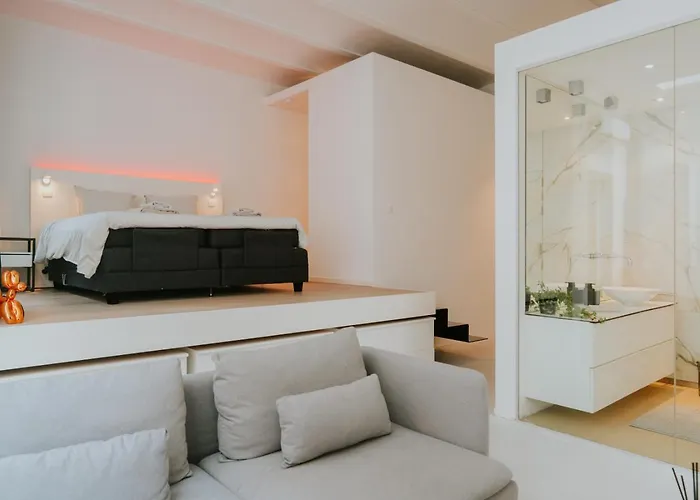 Apartment Luxury Loft With Private Parking