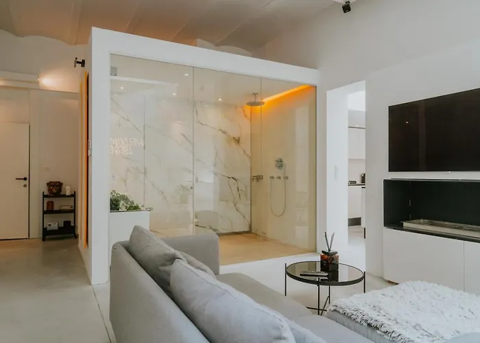 Luxury Loft With Private Parking Liège