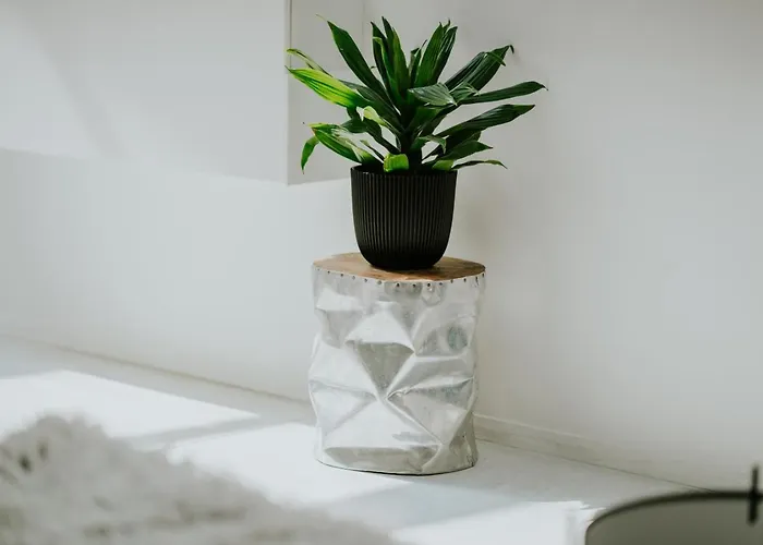 Apartment Luxury Loft With Private Parking *